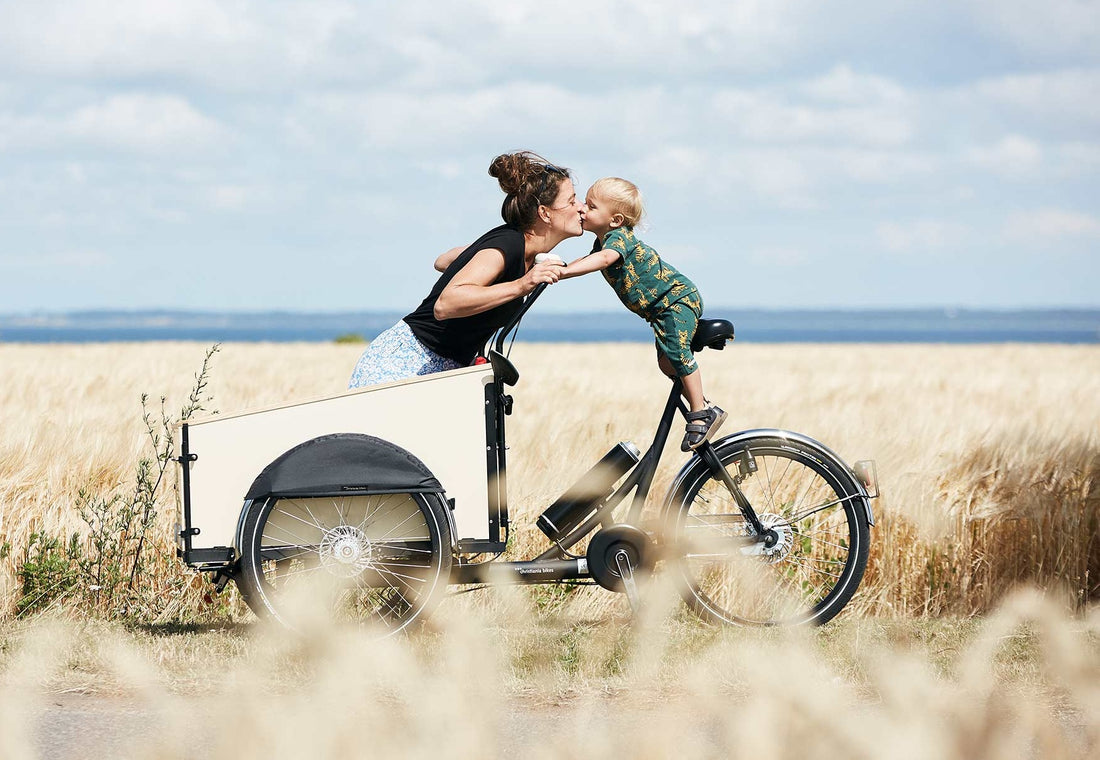 Kastirataste ostutoetus