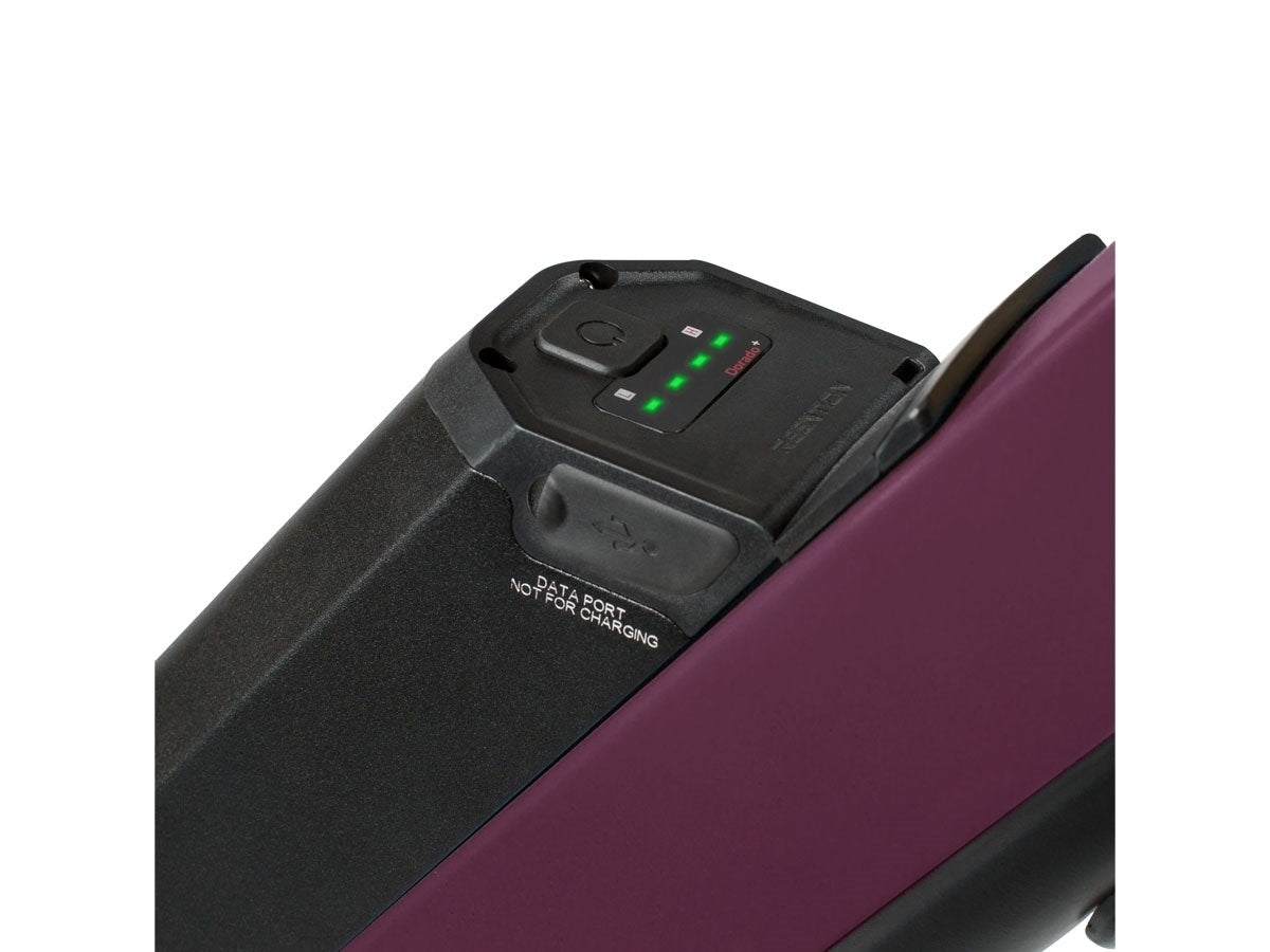 Aventon Pace 250 Step Through elektriratas